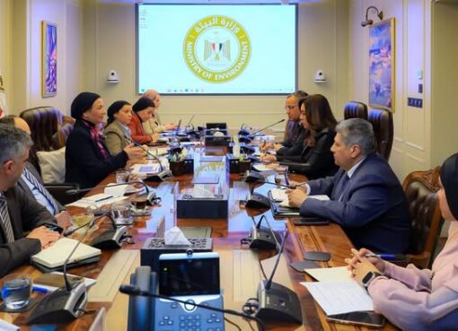 وزيرا التنمية المحلية والبيئة