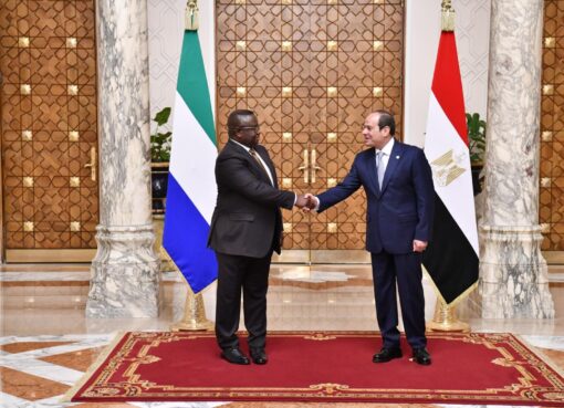 الرئيس عبد الفتاح السيسي