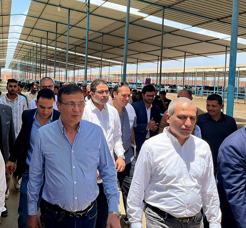 البنك الزراعي المصري يمول شراء 2000 رأس ماشية بقيمة 395 مليون جنيه لصالح 188 من صغار المربين بالشرقية