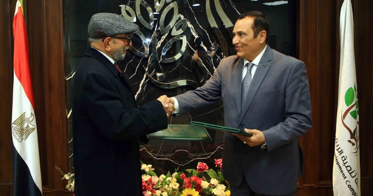 تنمية الريف المصرى