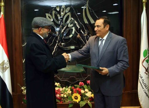 تنمية الريف المصرى