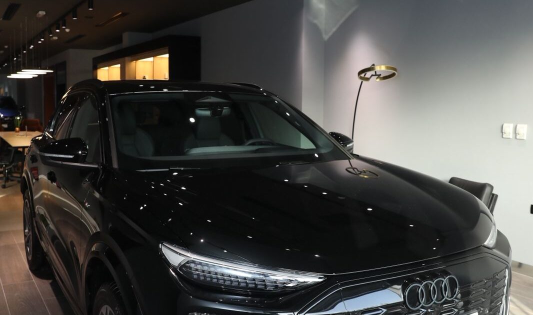 "أودي مصر" تحتفل بإعادة افتتاح وتطوير صالة عرض المعادي بمناسبة مرور 15 عامًا على تأسيسها