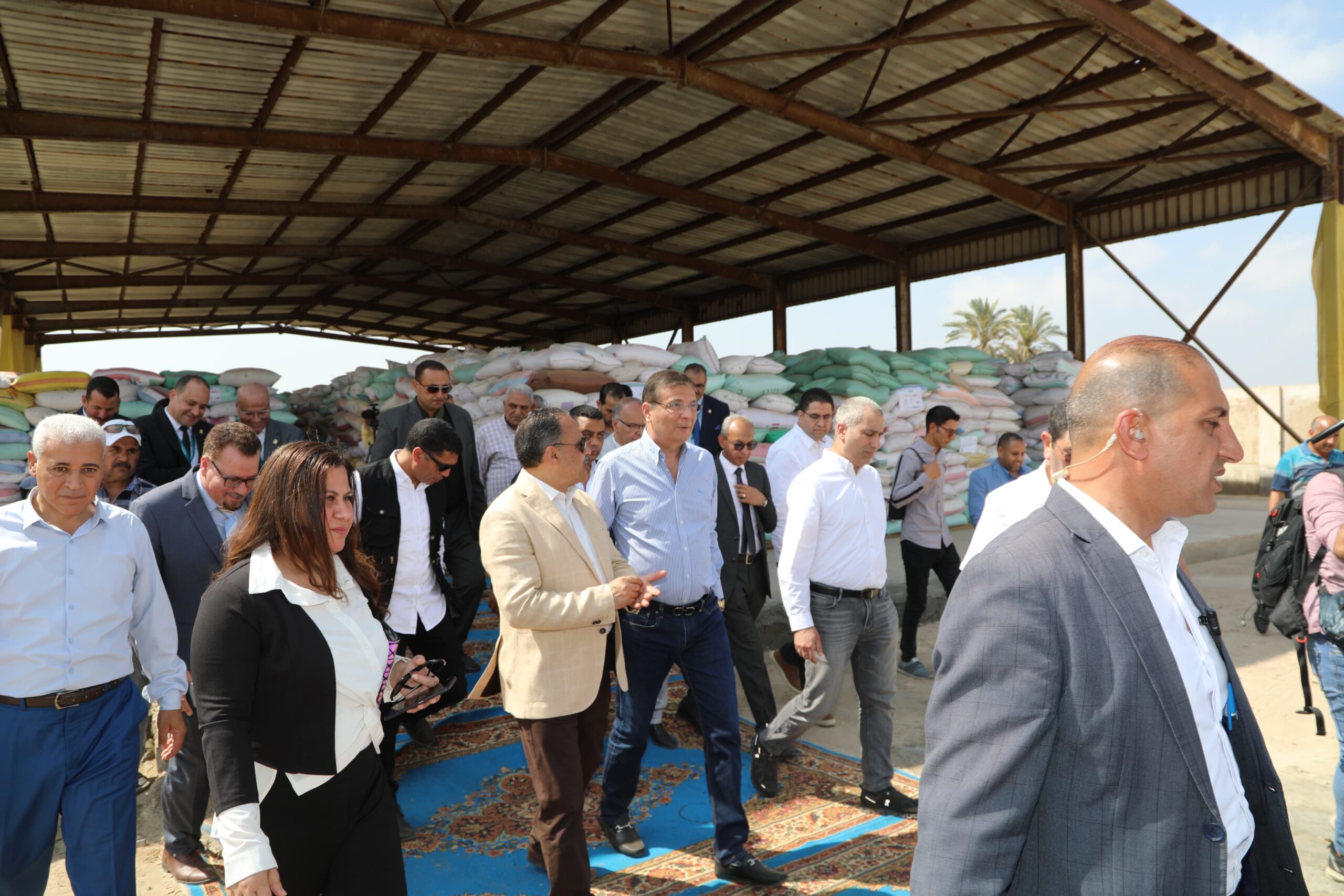 وزير الزراعة ومحافظ الشرقية ورئيس البنك الزراعي يتابعون أعمال تسليم القمح في شون البنك بالشرقية
