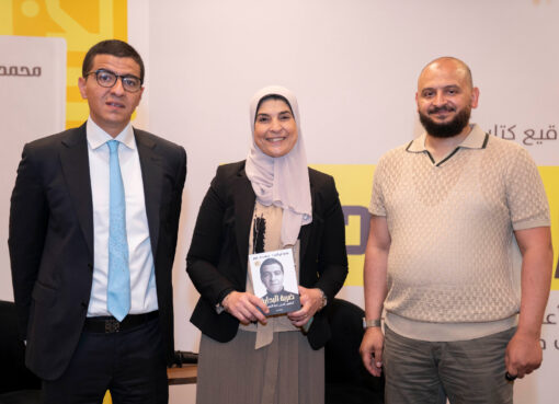 دار نهضة مصر