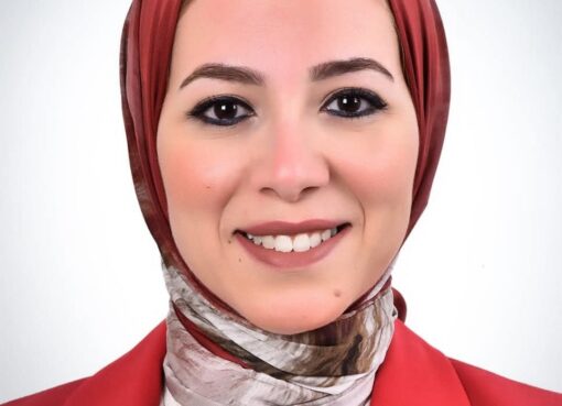 الدكتورة المهندسة عبير الشربيني