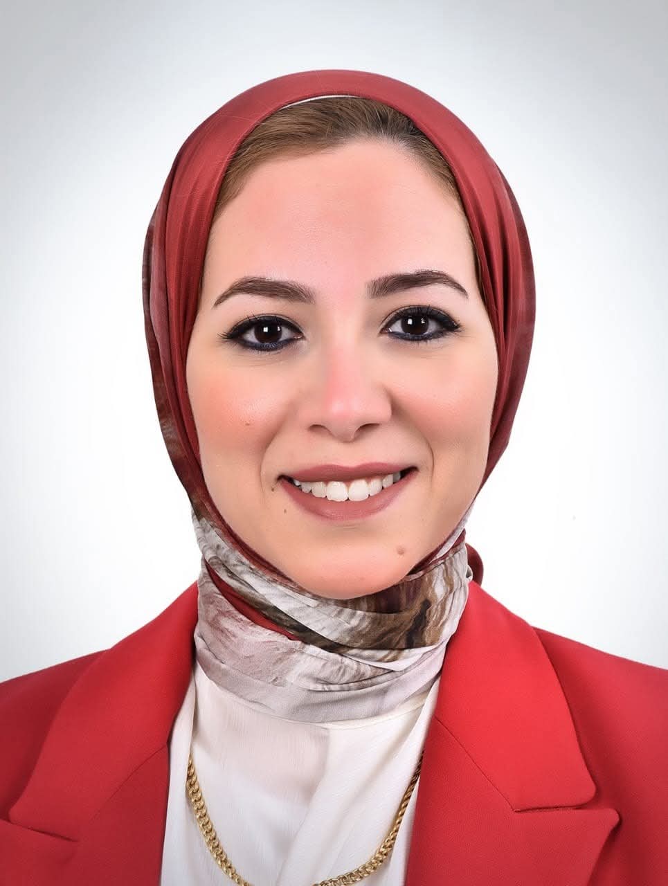 الدكتورة المهندسة عبير الشربيني