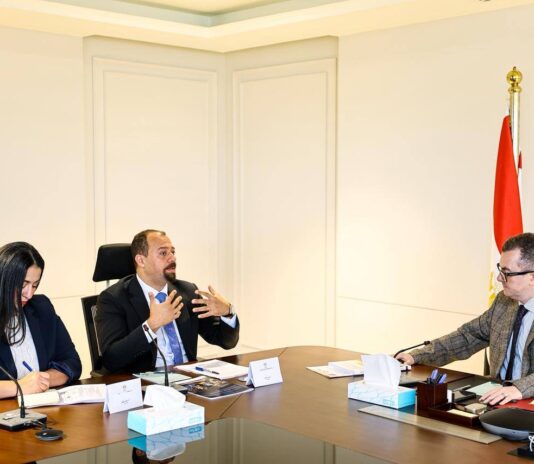 وزير التخطيط