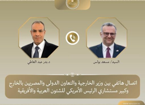 وزير الخارجية والهجرة وشئون المصريين بالخارج
