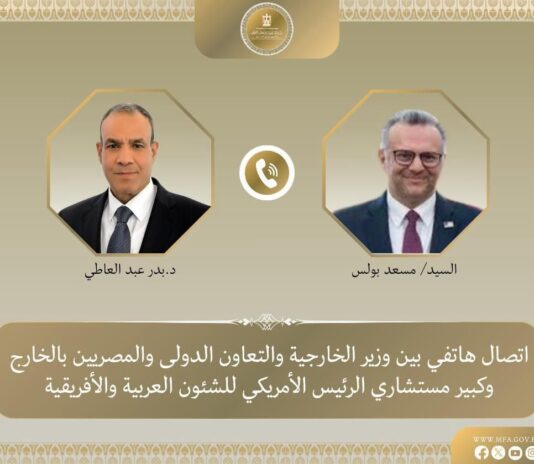 وزير الخارجية والهجرة وشئون المصريين بالخارج