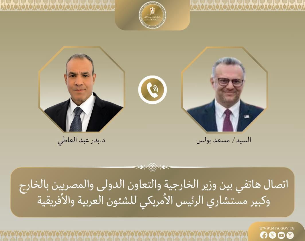 وزير الخارجية والهجرة وشئون المصريين بالخارج