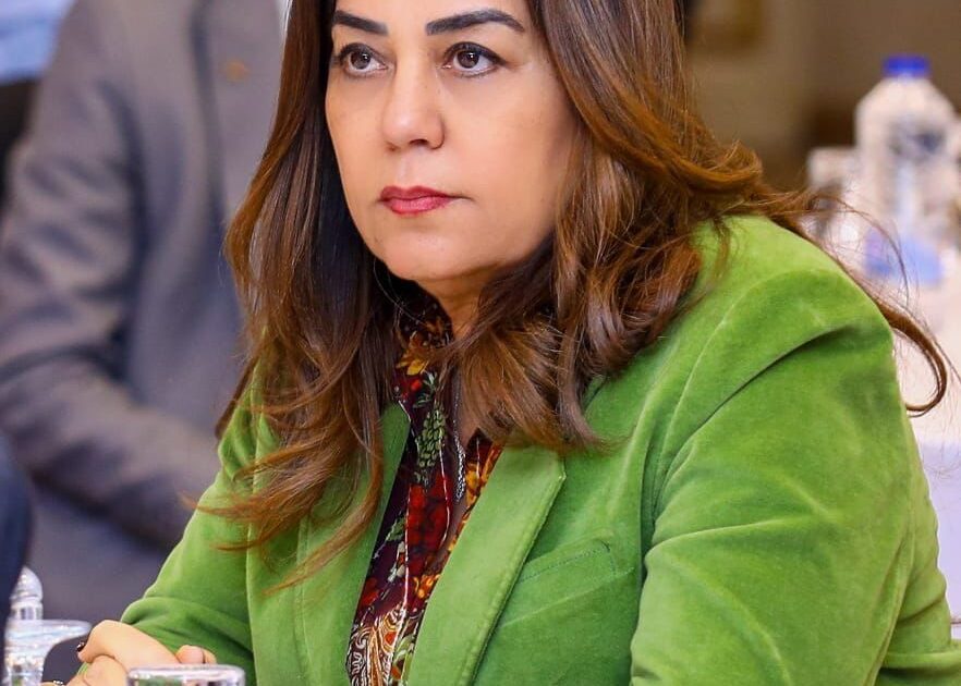 وزارة التنمية المحلية