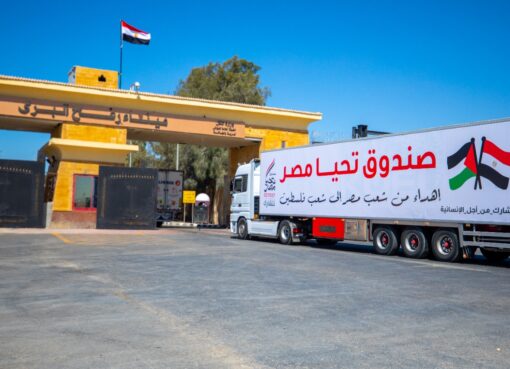 صندوق تحيا مصر