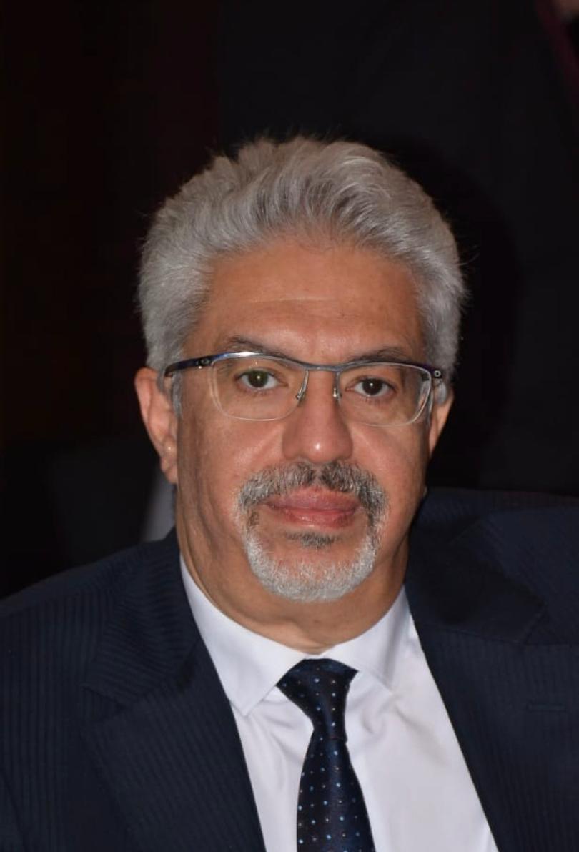 المهندس هاني ميلاد